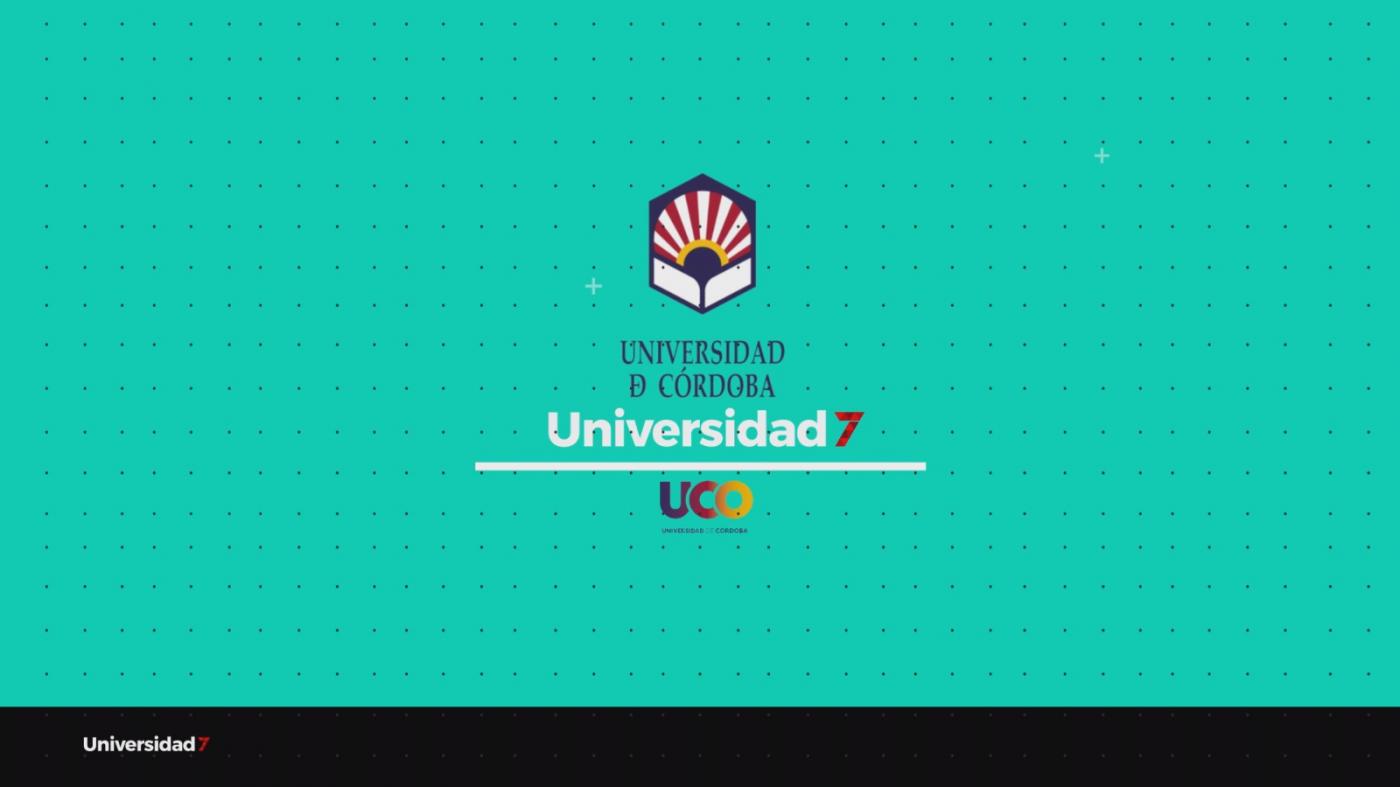 Universidad 7